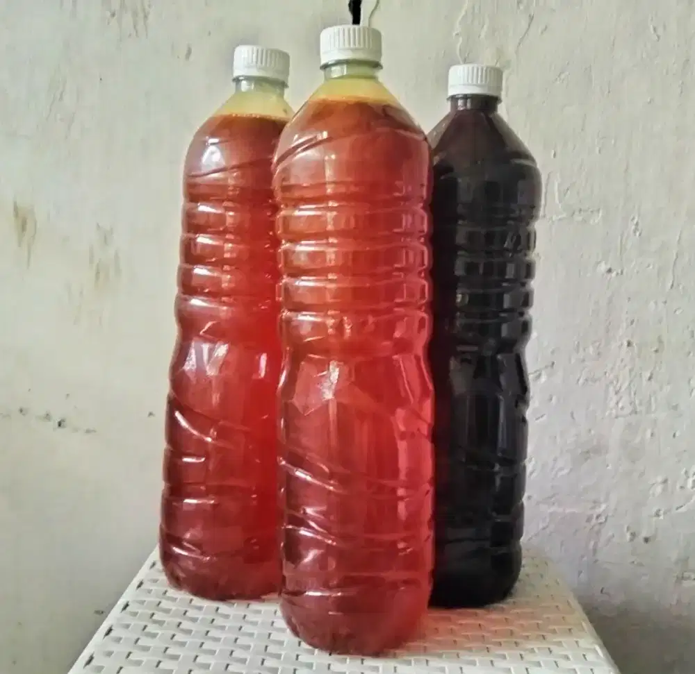 Madu hutan klanceng dan tawon
