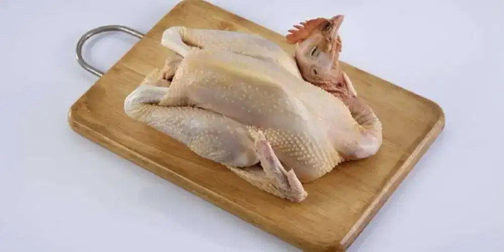 Jual ayam kampung mentah