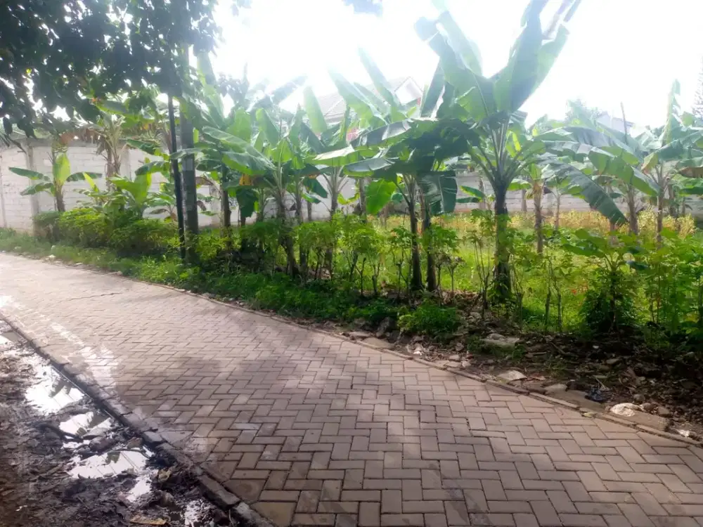 Tanah Kavling SHM Termurah di Ciater Tangerang Cicilan 12x Tanpa Bunga