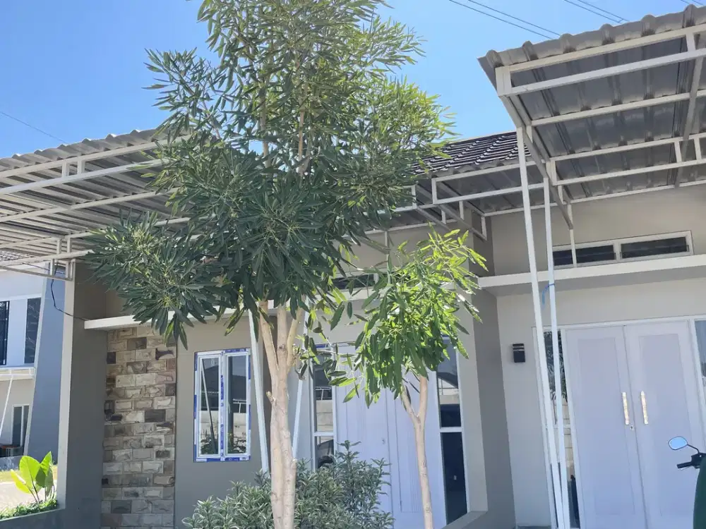 Rumah Murah Cukup 5 juta saja Free Biaya Di Makassar