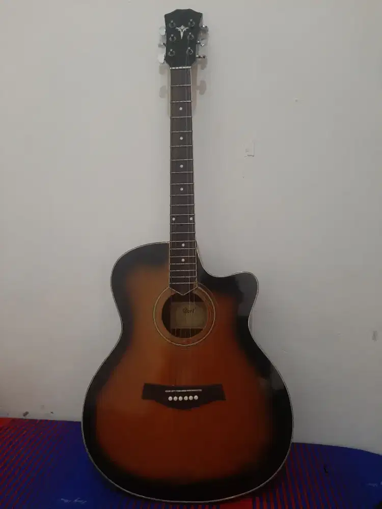 FS gitar akustik elektrik custom