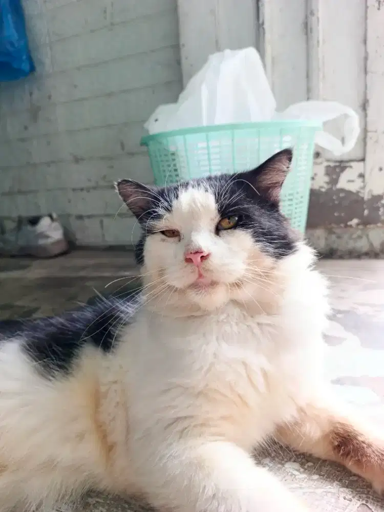 Mencari pekerjaan part-time