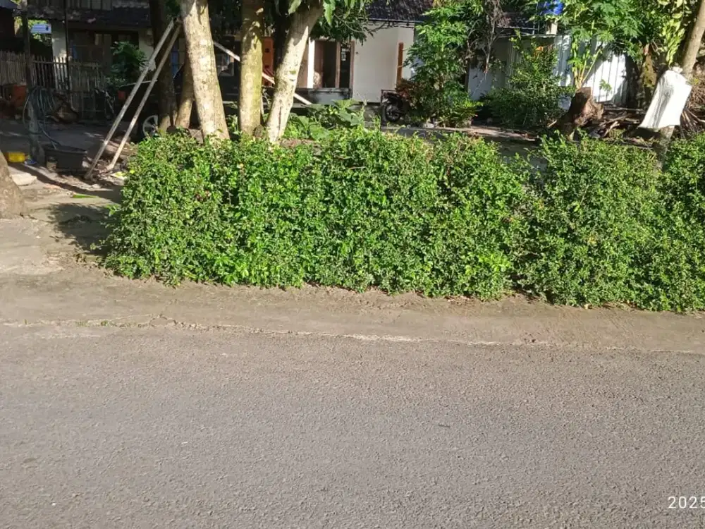 Dijual segera tanahnya SHMP cantik dan murah di sleman timur