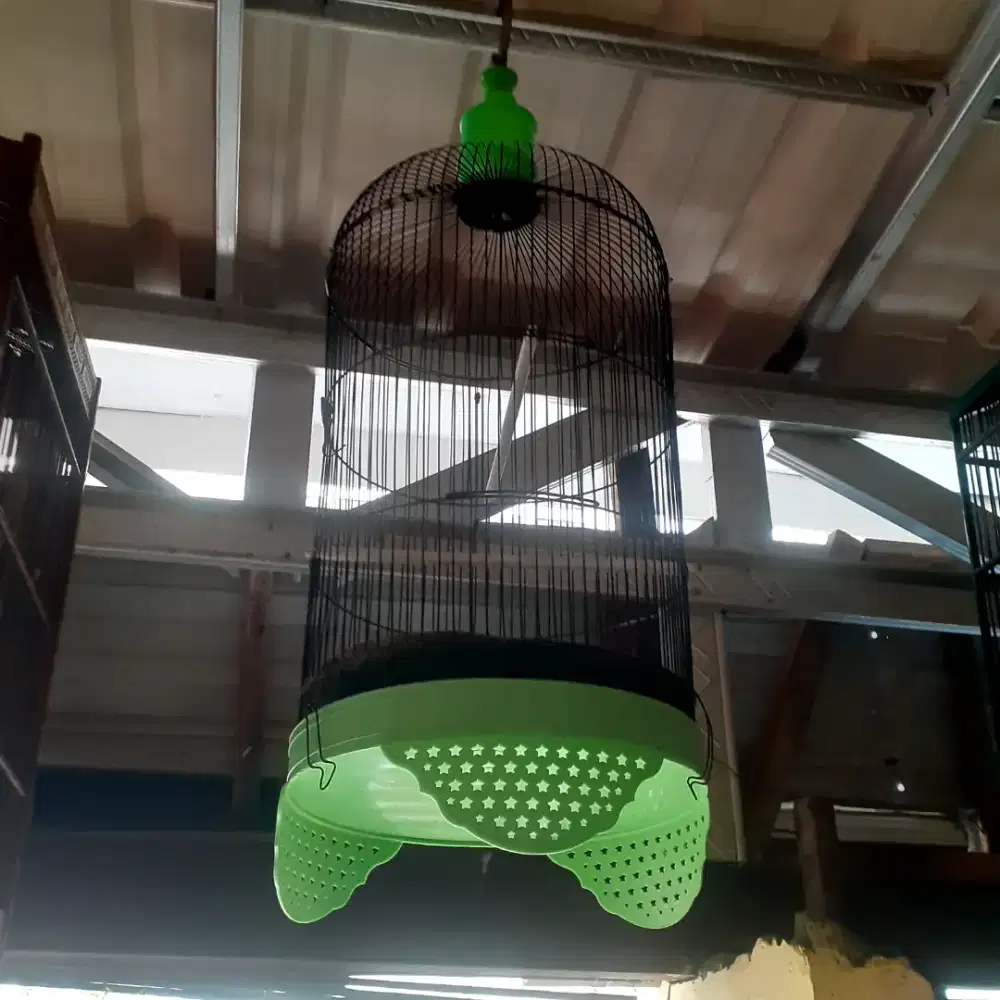 Sangkar burung labet bisa untuk burung trucuk