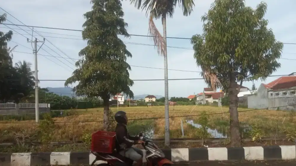 Tanah Disewakan di Seririt