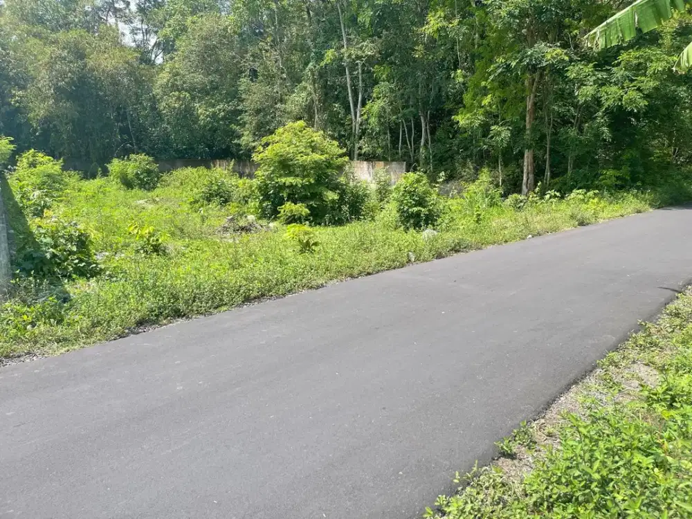 Dijual Murah Under 2jt Tanah SHMP Bagus Area Kalasan