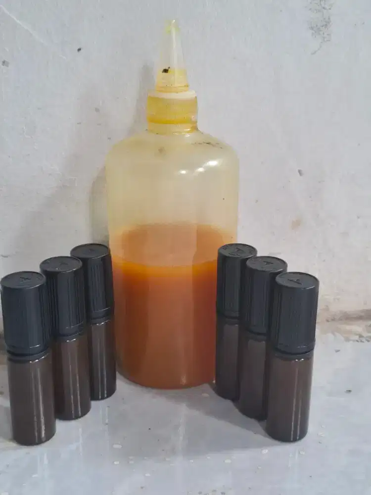 Essen oplosan ikan mas