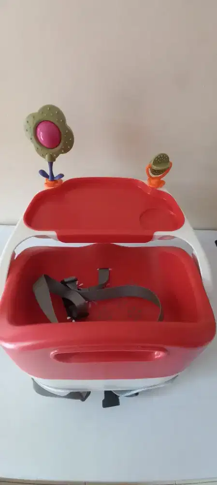 Baby Does CH 7340 JB