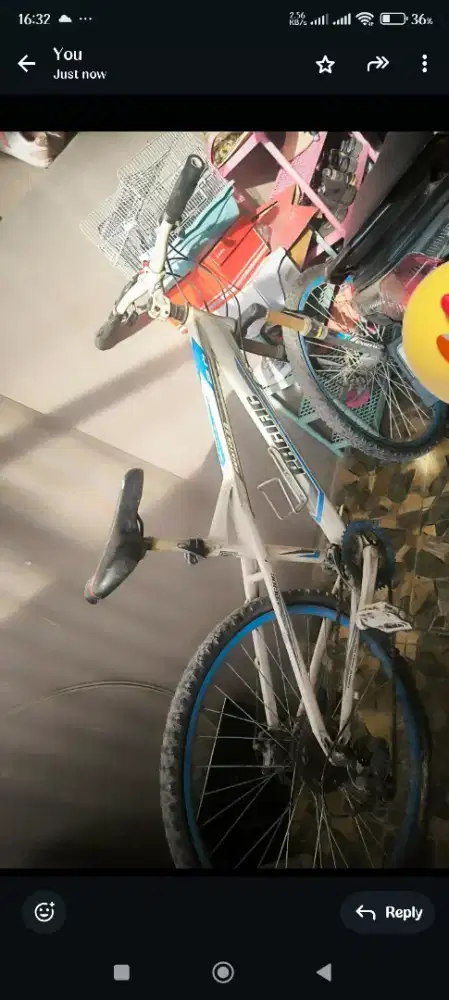 Sepeda pasific bekas