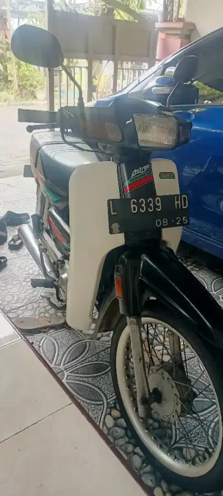 Astrea grand bulus 1991