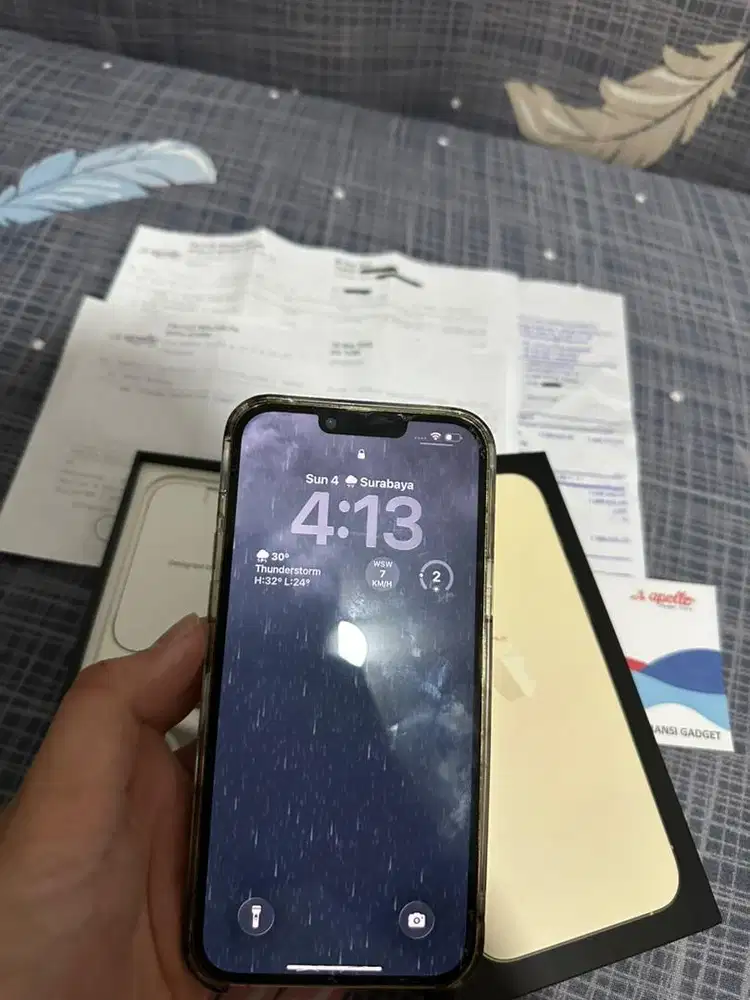 Iphone 13 pro max 256gb