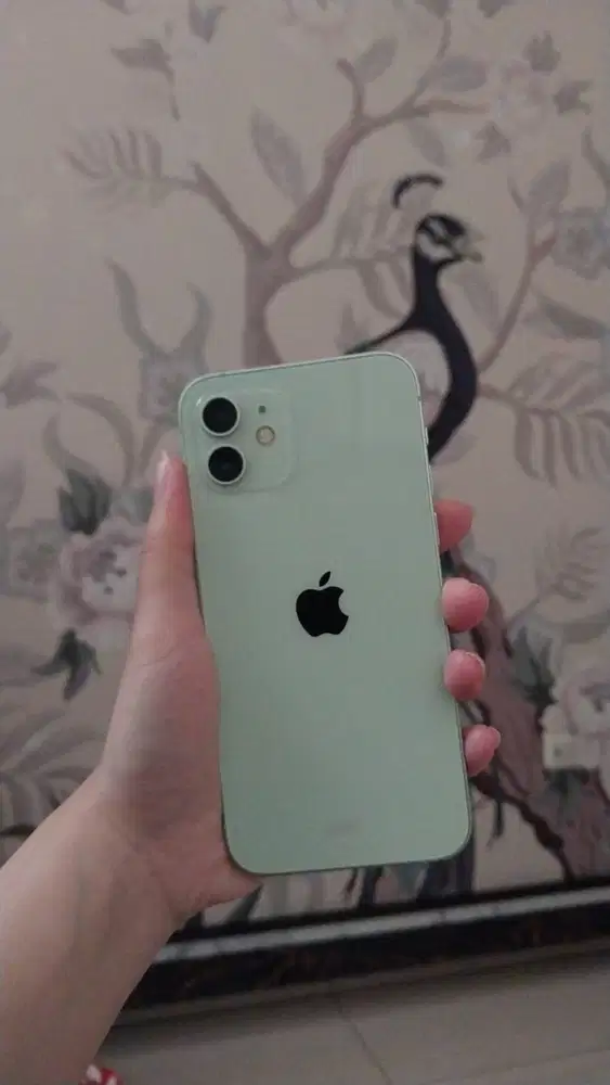 Iphone 12 256Gb SAGE GREEN Ex Ibox