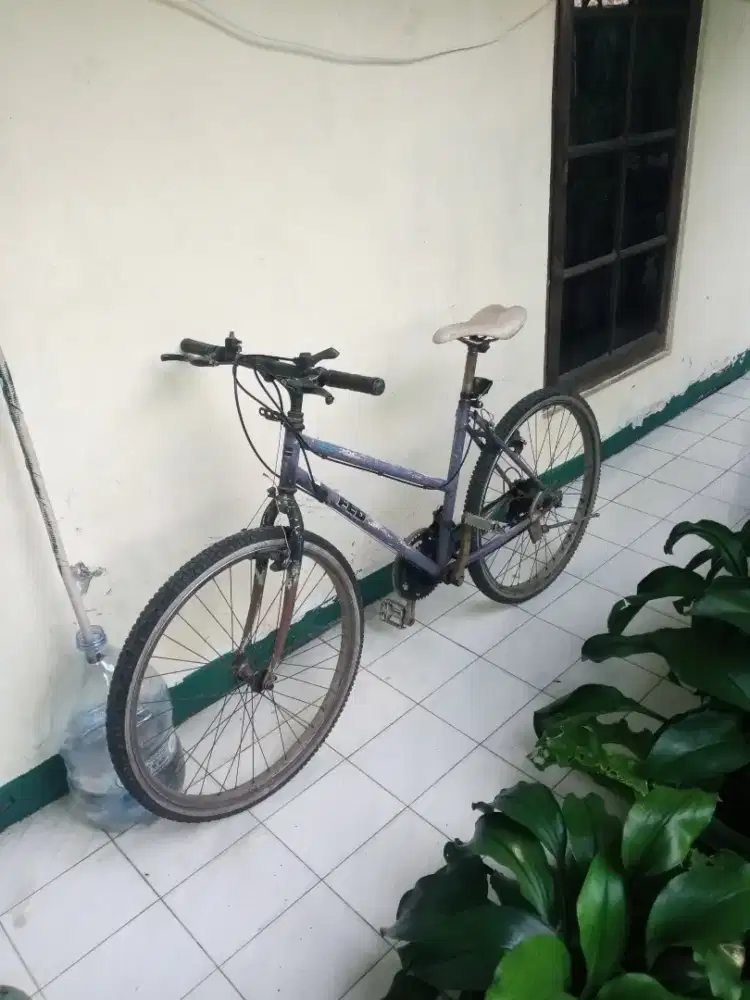 Sepeda Federal Lady uk26