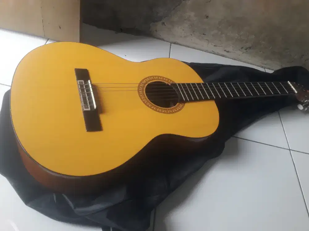 gitar yamaha c315