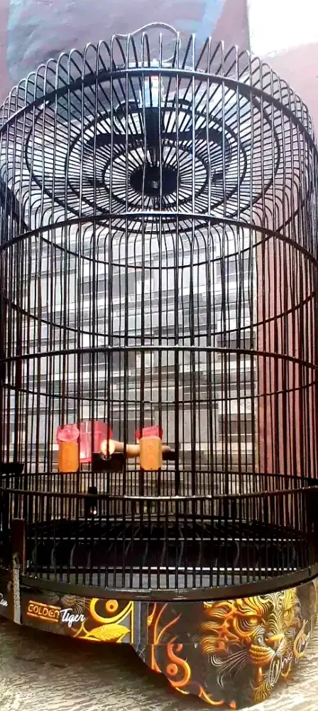 SANGKAR BURUNG MURAI PULSET