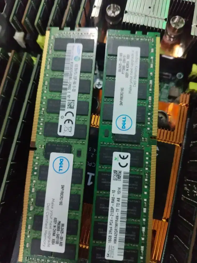 BELI RAM SERVER SEGALA KONDISi