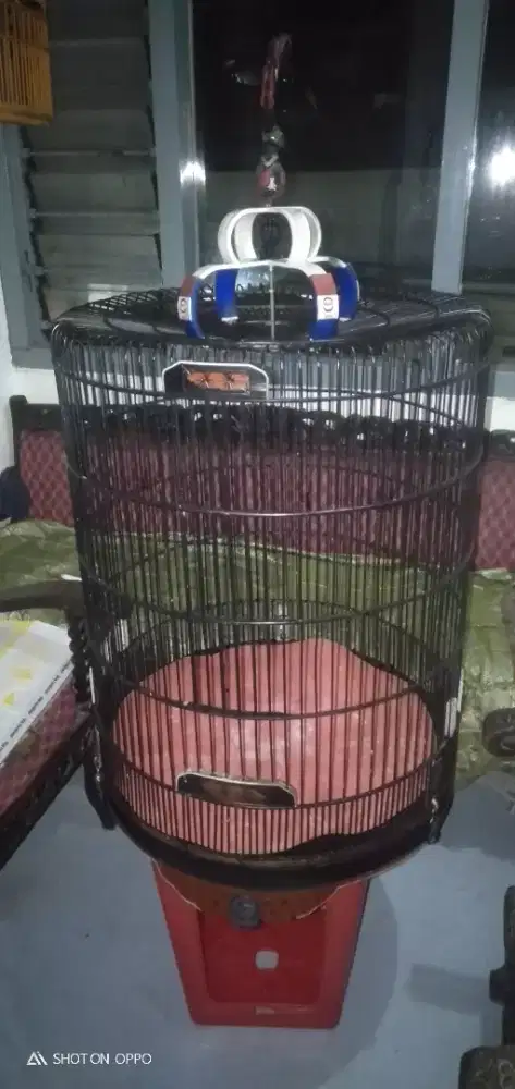 Sangkar Murai No.2