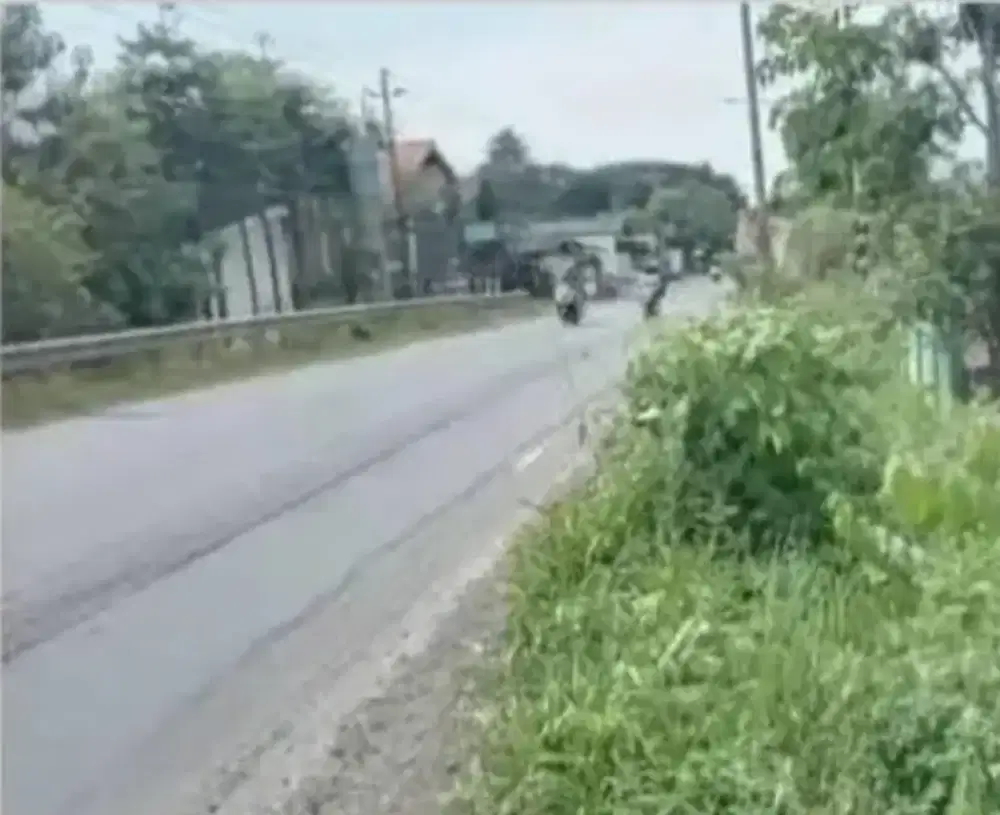 Tanah murah cocok buat usaha apapun