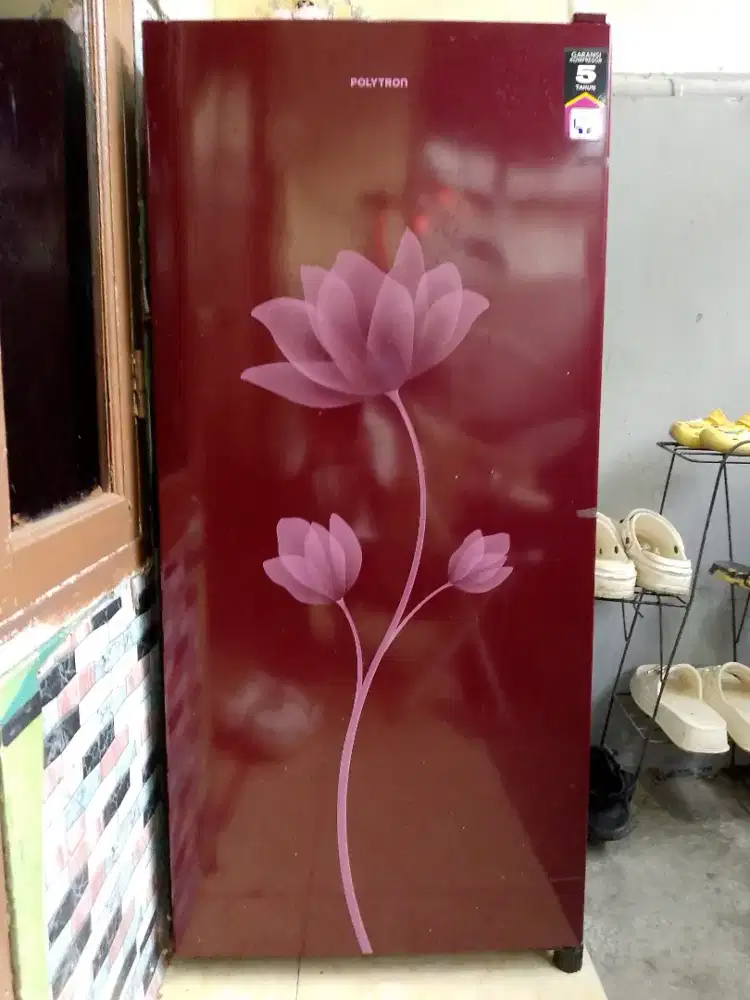 Kulkas Polytron 1 Pintu Normal