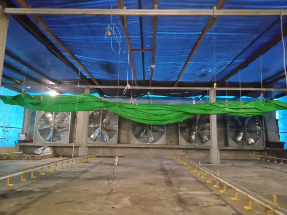 Jual Kandang Ayam Broiler, Semi Close House