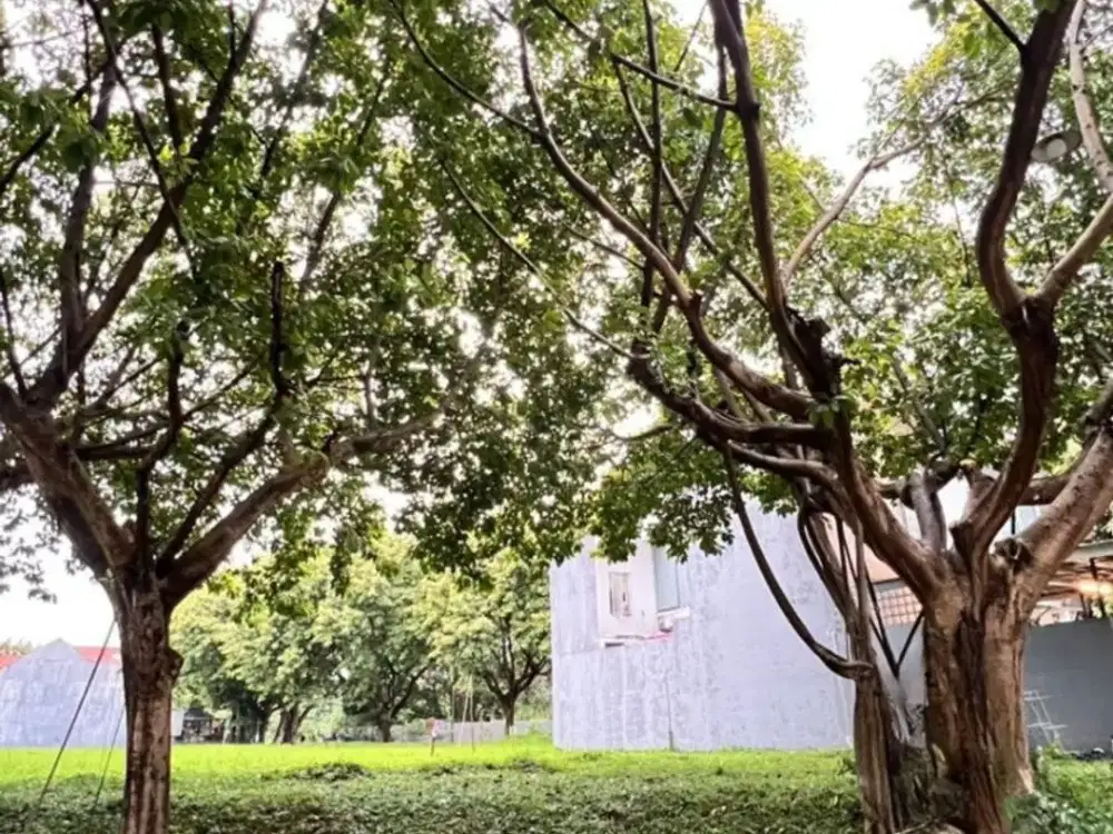 Kavling Murah Siap Bangun Luas 212m² di Kemang Bekasi Lokasi Strategis