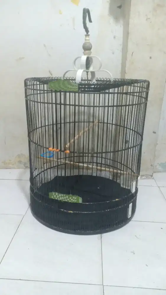Sangkar murai no 1 layak pakai