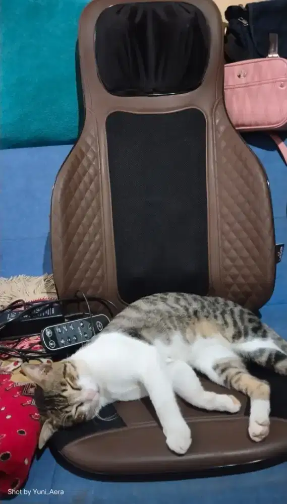 Mecine pijat badan Merk LEXATA