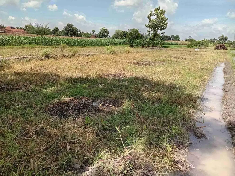 Jual cepat tanah di Ngawen Klaten lokasi pinggir jalan raya hanya 7menit ke RSI Klaten