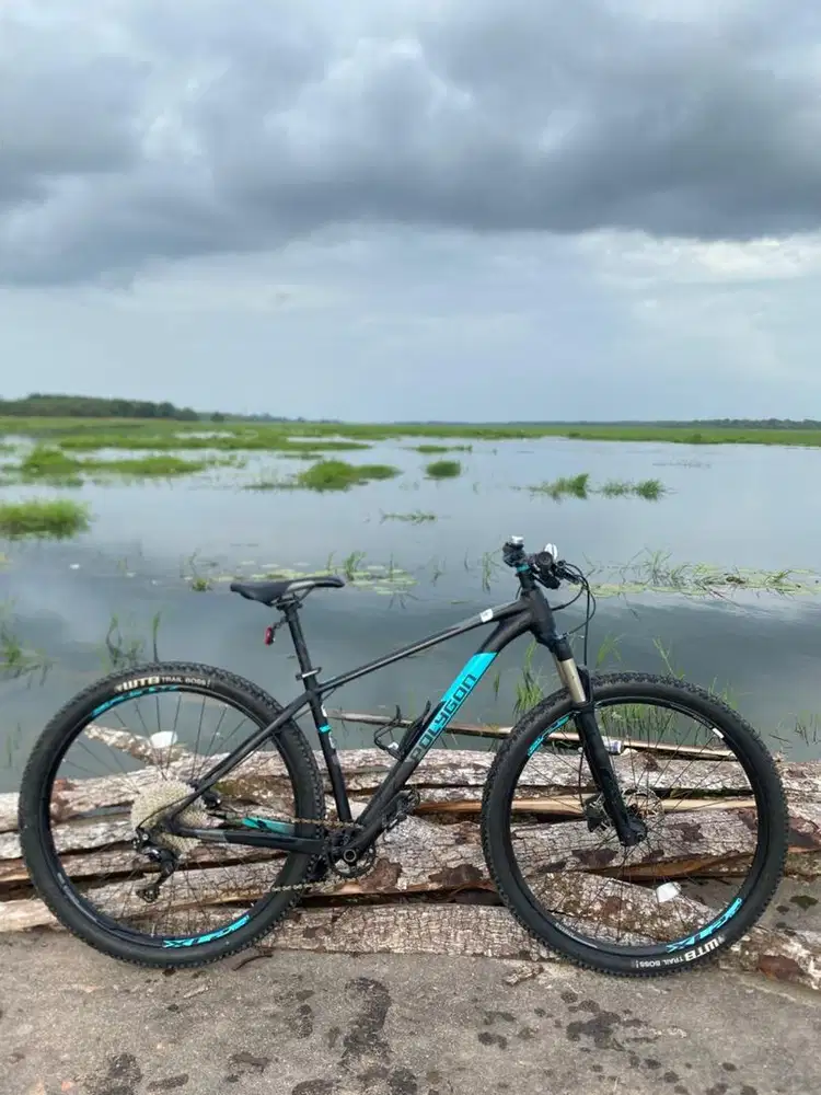 Polygon Xtrada 8 M 29er