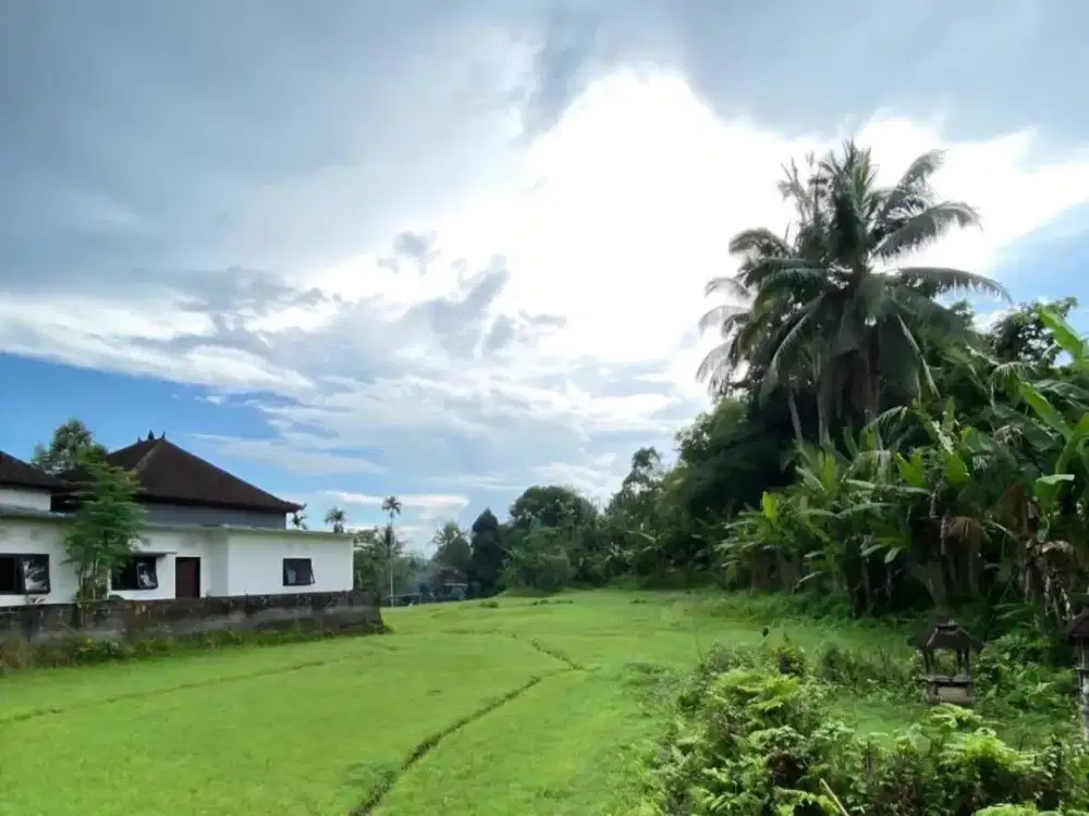 Tanah 35 Are di Salamadeg, Tabanan Dijual