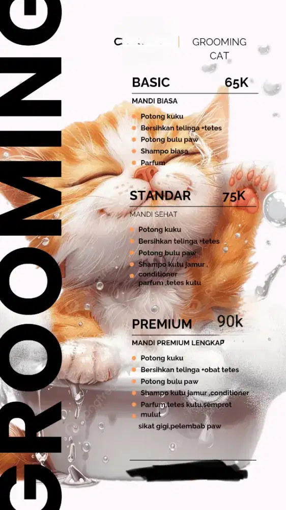 Grooming kucing Homeservice/antar jemput