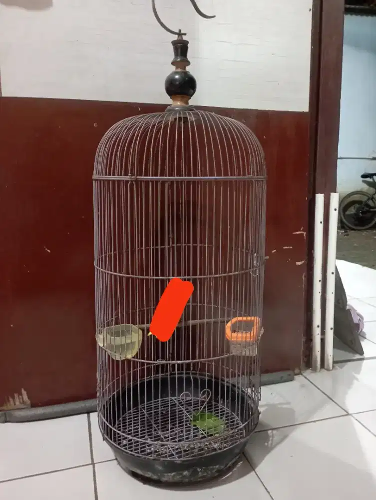 Kandang burung lovebird tebok baskom