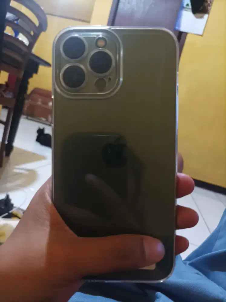 iPhone 13 pro max green
