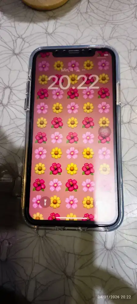 Ipon x + casan  kardusnya g ada