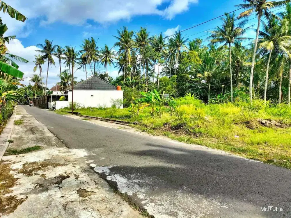 Dijual Tanah Sawah Pinggir jln aspal di Margokaton Seyegan