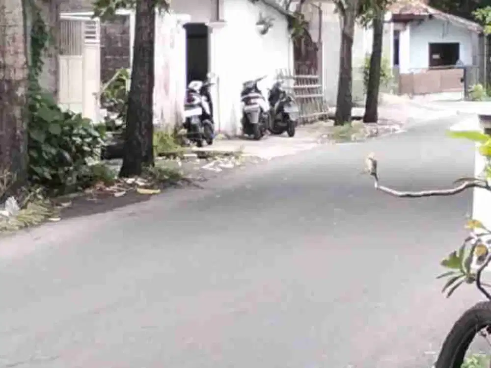 TANAH + BANGUNAN - JALAN KATALIA UBUNG