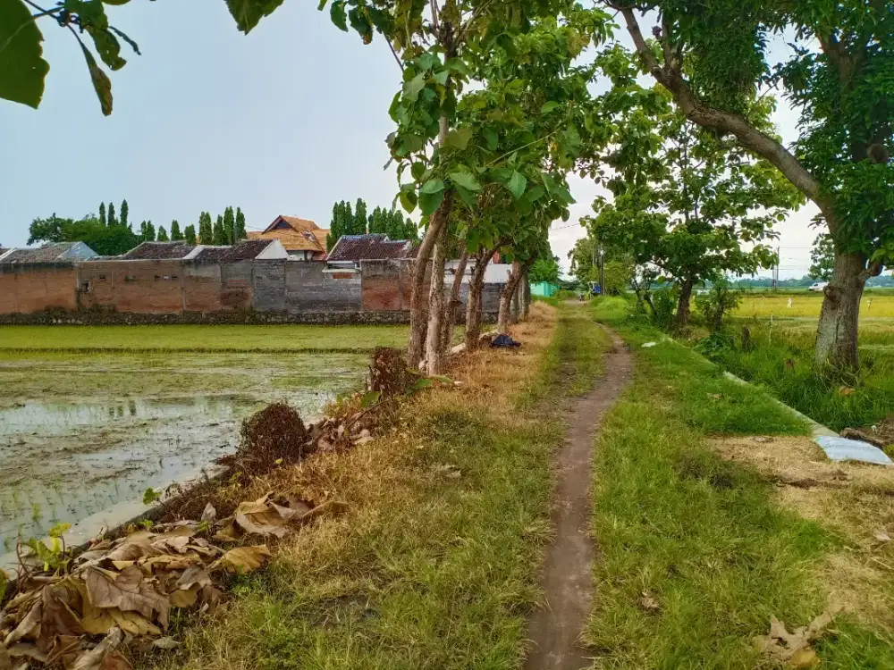 Dijual Tanah Sawah Belakang Embarkasi Haji