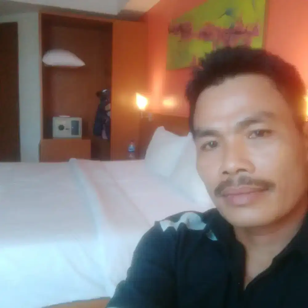 Saya sedang mencari pekerjaan sebagai driver pribadi