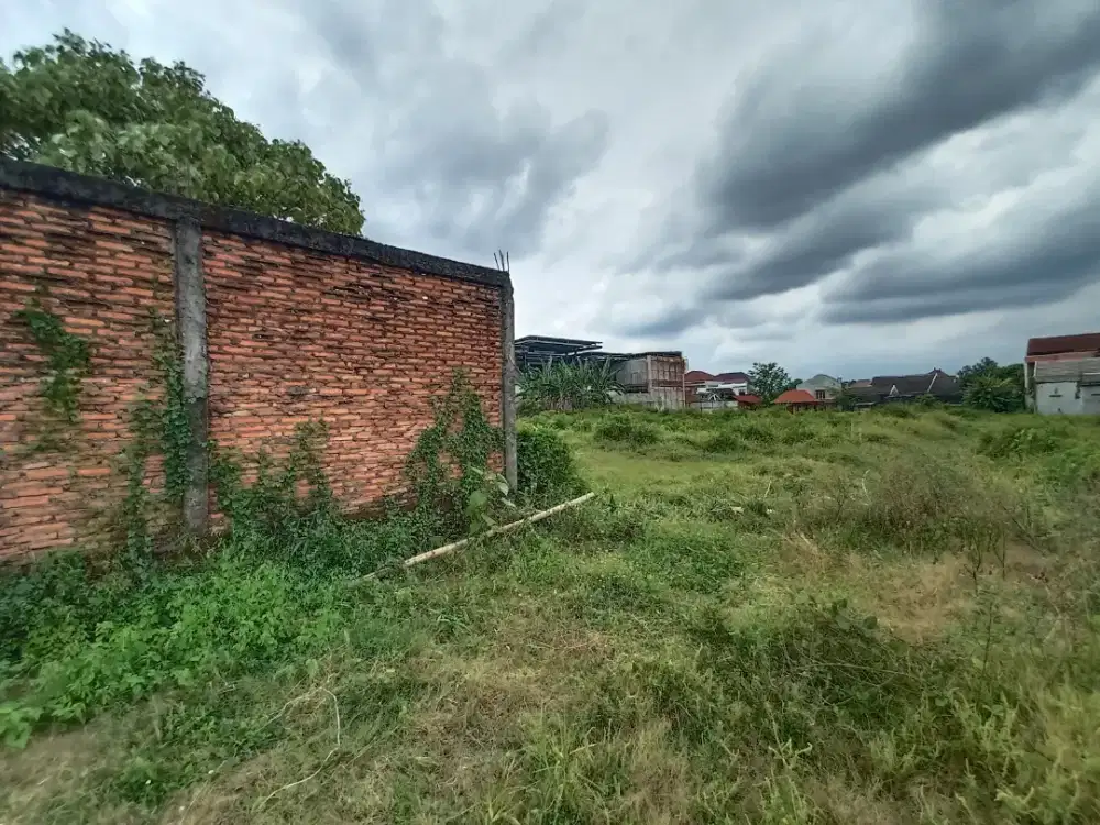 Dijual Tanah Lokasi Pleret Banyuanyar