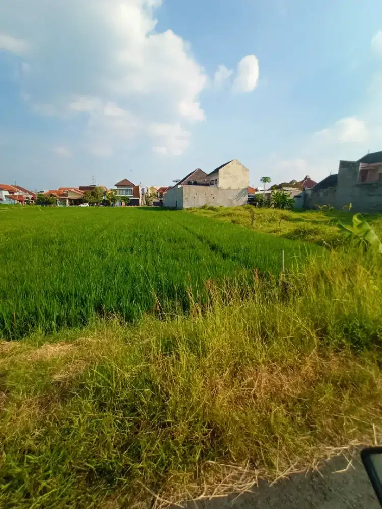 Dijual Tanah Lokasi Sumber Pleret