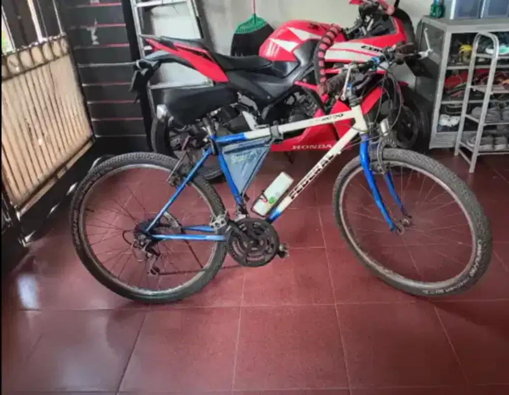 Sepeda Federal Orian