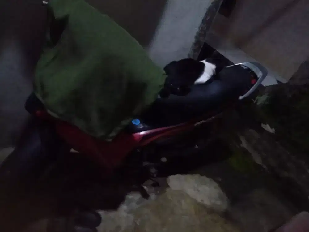 Jual butuh 1 jt aja yang minat aja