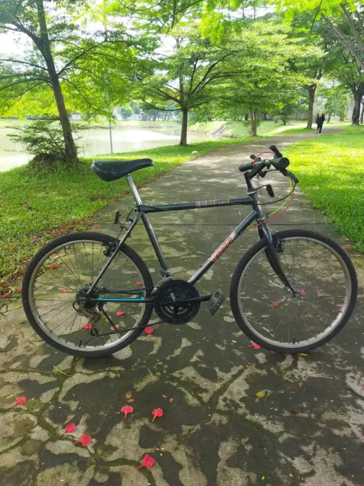 sepeda winner ban 24