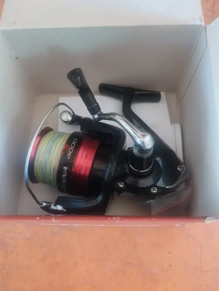 Rell Shimano sienna