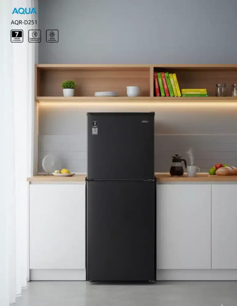Aqua Japan AQR-D251.