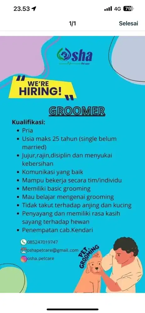 groomers/mandiin kucing