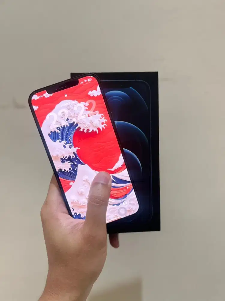 iPhone 12 Pro Max 128GB Resmi iBox