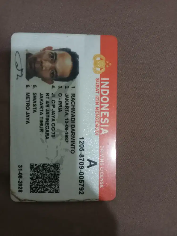 driver pribadi ex blue bird