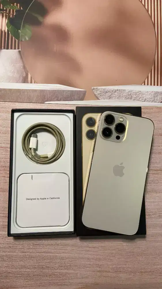 IPHONE 13 PROMAX 256 GB