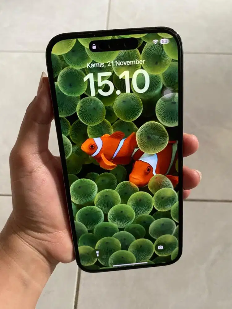 iPhone 14 promax ex iBox